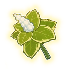 Tanaman Herbal